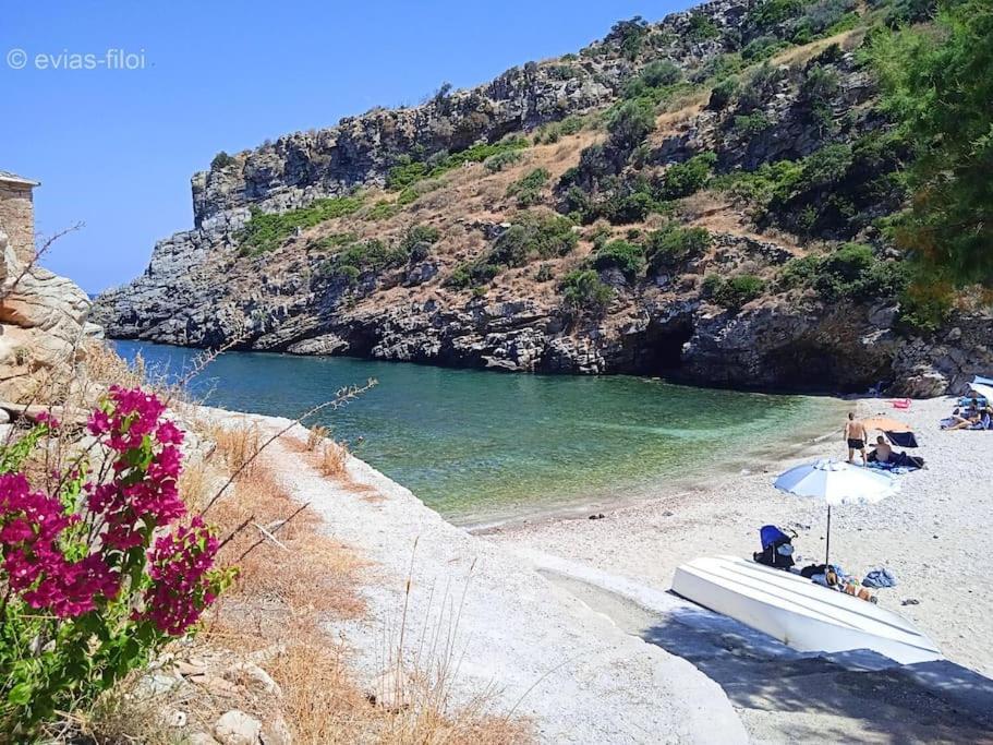 Villa Παραθαλασσιο Σπιτι Στην Εξοχη Tsakei Exterior foto