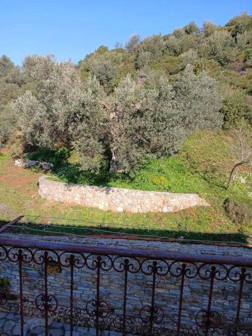 Villa Παραθαλασσιο Σπιτι Στην Εξοχη Tsakei Exterior foto